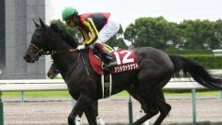 【愛知杯枠順確定】アンドヴァラナウトは3枠6番、マジックキャッスルは1枠2番