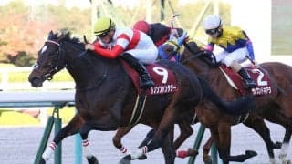 ダノンファンタジーが競走馬登録抹消