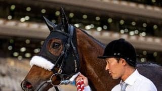 アーモンドアイの仔は理想形？ 決め手は『ナスルーラのバリエーション』父・母父の黄金配合を併せ持つ血統背景を紐解く