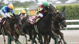 【本日の注目ポイント】中京で牝馬のハンデ重賞・愛知杯