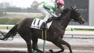 京成杯ではどんなタイプが狙い目なのか。過去データから浮上した４頭の穴馬候補