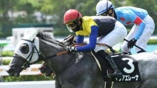 【愛知杯予想】末脚は重賞級、軽ハンデも利して重賞初勝利のチャンス