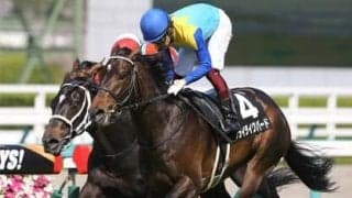 今年も日経新春杯は穴党の出番。狙うは中京・芝2200ｍという舞台実績抜群の２頭