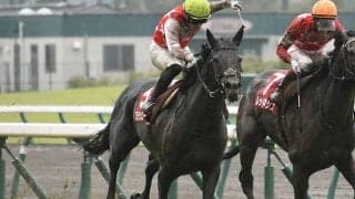 【日経新春杯予想】ステラヴェローチェは馬場がカギ!? 良馬場なら「あの馬」が逆転候補に