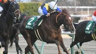 【AJCC想定】ポタジェは川田将雅騎手、ボッケリーニは横山武史騎手