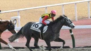 【中京4R新馬戦結果】5番人気ナパージュケイクが外から押し切り2馬身差完勝