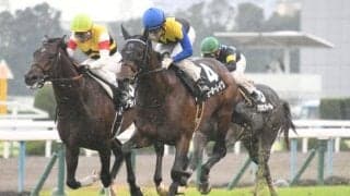 【日経新春杯予想】中京替わりの昨年は大波乱に　注目は前走の人気!?/JRAレース展望 