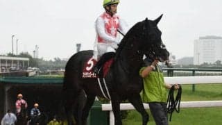 【日経新春杯前日オッズ】ステラヴェローチェが1.7倍で断然の人気