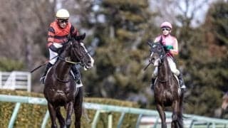 【京成杯予想】土曜は先行勢が頑張っていたように映るが…/万哲の馬場予報