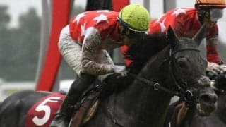 【WIN5予想】日経新春杯は前走の着順や末脚を素直に評価したい