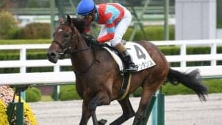 【京成杯予想】3年連続で新馬組が優勝！ ルメール騎手にも注目だ！/JRAレース展望 