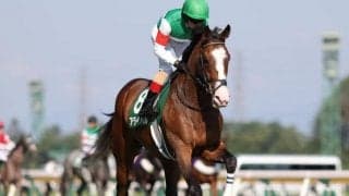 【京成杯予想】タフな2000m戦、長距離馬にとっては貴重な舞台