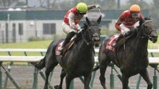 【日経新春杯予想】2022年最初のGII競走、明け4歳世代の進化と真価に注目