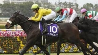 ２歳女王に輝いたサークルオブライフ。陣営が語る３歳牝馬クラシックに向けての自信