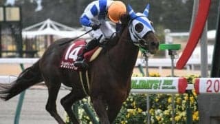 【日経新春杯】傾向がつかめない超難解戦？ 昨年に続く大荒れ馬券を狙っていけ！