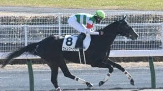 【中京4R新馬戦結果】アロゲート産駒ウィングヘヴンが6馬身差圧勝