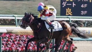 【新馬/中山6R】良血ウインエクレールがデビューV