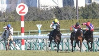【中京8R・梅花賞】JRA10年ぶり4頭立てで実施　3連単270円は史上最低配当、ワイドは全て100円