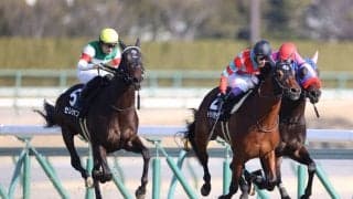 【梅花賞】断然人気 セレシオンがデビュー2連勝