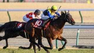 【日経新春杯】川田「今後の成長も楽しみ」ヨーホーレイクが重賞初制覇