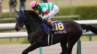 菊花賞2着馬参戦のAJCCとダート重賞の東海S/今週の競馬界の見どころ