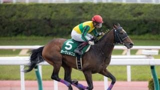 【東海S登録馬】オーヴェルニュなど18頭