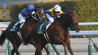 【愛知杯】売上は53億9825万5000円で昨年からおよそ7.4億円の増加