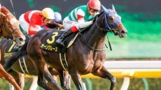 【AJCC見どころ】菊花賞2着馬オーソクレースが明け4歳初戦で重賞初制覇を狙う