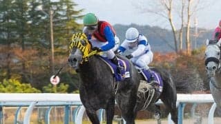 ミューチャリーがNARグランプリ2021年度代表馬に！ 特別表彰馬にマルシュロレーヌ