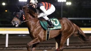 【AJCC予想】AIの本命候補は「超人気薄」!? 馬券内なら「大荒れ必至」の指名馬とは