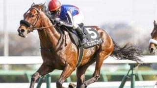 【AJCC展望】中山2200mは癖のある条件、コース実績あるあの馬の巻き返しを期待