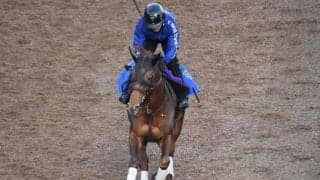 テーオーケインズなど、先週の入厩情報/栗東トレセンニュース