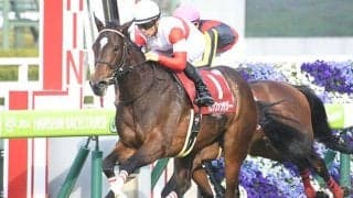 【先週のJRA抹消馬】重賞6勝・ダノンファンタジー、大井競馬に移籍のトーセンスーリヤなど