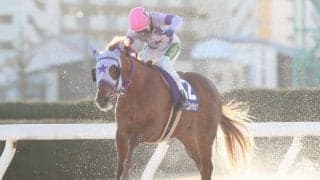 【名古屋・新春ペガサスC結果】レイジーウォリアーが逃げて7馬身差圧勝