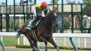 【東海S想定騎手】オーヴェルニュは団野大成騎手、サンライズホープは幸英明騎手