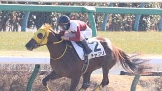 【新馬/中山4R】ヘニーヒューズ産駒 チャプリが5馬身差圧勝