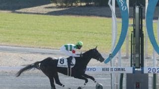 【新馬/中京4R】アロゲート産駒 ウィングヘヴンがデビューV