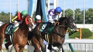 【東海S展望】フェブラリーSへのステップレース、好走の条件とは