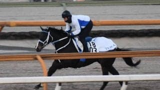 ヘリオス、根岸S1週前追い切り速報/栗東トレセンニュース