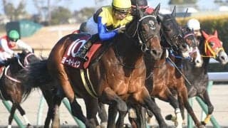 黄金配合のヨーホーレイク　良血開花で今後の活躍が楽しみな1頭