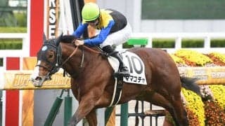 ソダシの全妹ママコチャはエルフィンS視野に調整