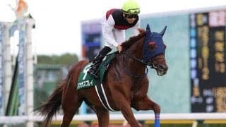 人気薄でも強調材料アリで高評価！ AJCCでAIが指名した注目馬は？