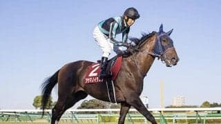 【AJCC「見逃せない調教師」ベスト3】中山芝2200mで複勝回収率107％ 馬券妙味を追うならこの調教師！