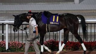 【東海S「見逃せない調教師」ベスト3】中京ダート1800mで複勝率は32.4％、複勝回収率94％ 穴を狙うならこの調教師！