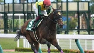 【東海S出走馬・騎手確定】オーヴェルニュ＆団野大成騎手、サンライズホープ＆幸英明騎手など16頭