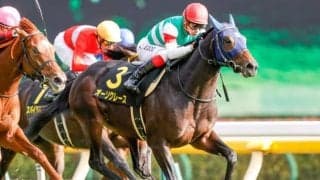 【AJCC出走馬・騎手確定】オーソクレース＆ルメール騎手、ポタジェ＆川田将雅騎手など14頭