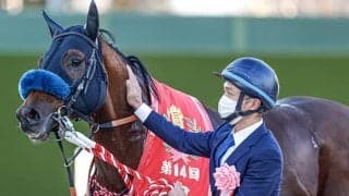 【次走】ダンシングプリンスはサウジのリヤドダートスプリントを視野に