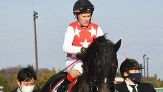 ステラヴェローチェはドバイ遠征に前向き、シーマCとターフに登録