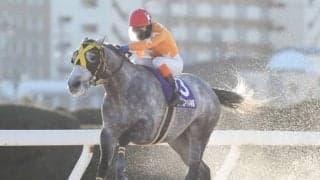 【名古屋・マイル争覇結果】トミケンシャイリが逃げて4馬身差圧勝