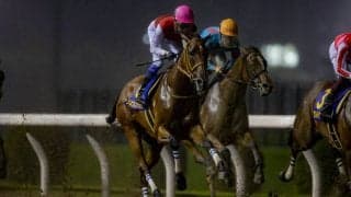 【TCK女王盃】JRA出走予定馬